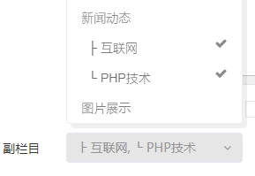 迅睿CMS副栏目功能如何使用，实现一篇文章多个栏目发布