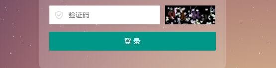 pbootcms后台登录验证码看不清怎么回事？
