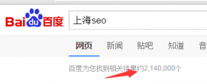 上海seo搜索结果数