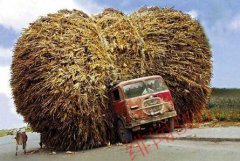 网站过度优化有哪些方面