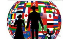 刑天大叔的移民者seo项目经历