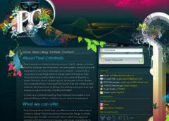 十大优秀配色方案