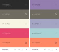 自动生成上千款热门配色色板的COOLORS